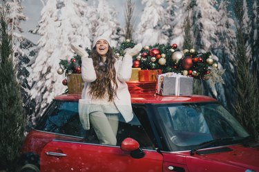 tree on car