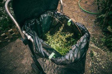 green bin garden filled with green  leaves for recicling