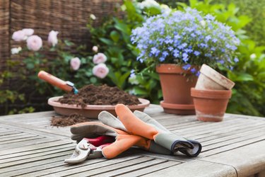 Germany, Stuttgart, Gardening equipment on wooden table