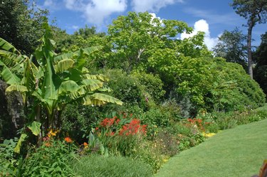 Trelissick Garden, Cornwall