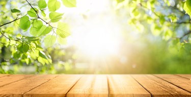 Spring beautiful background with green juicy young foliage and empty wooden table in nature outdoor.