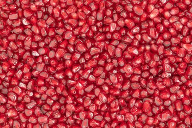 Pomegranate arils background