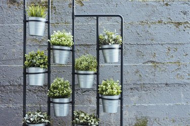 Grow Bags with Vegetable Saplings in a Vertical Stand Outside