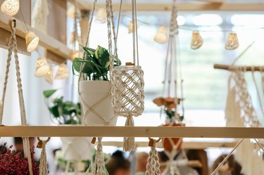 Organic Flowers In Recycling Pots Macrame Handmade Decorating