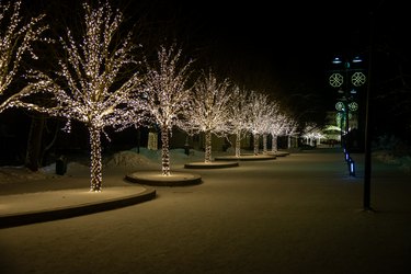 Winter night park with lanterns, pavement and trees covered with lights.