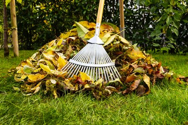 Cleaning garden in autumn