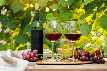 Cold red wine in wine glass and wine bottle with fruits grape trees in morning nature background on wooden table.