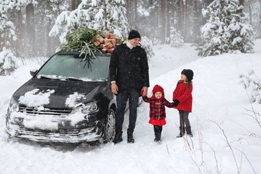 Father and his daughters are carrying a Christmas tree from the forest