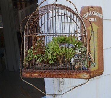 Birdcage planter