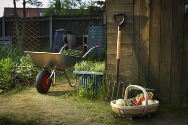 Allotment and gardening tools
