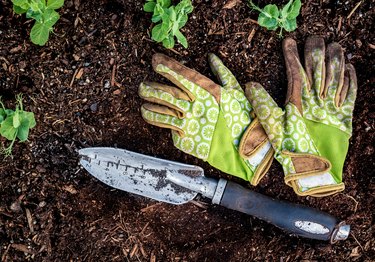 Dirty pair of garden gloves with shovel on top of soil.