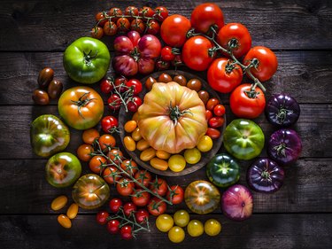 Tomato varieties on rustic wooden table