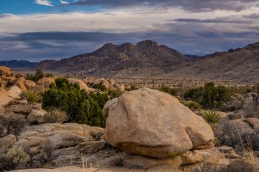 Boulders Along The Window Loop Trail In Joshua Tree