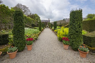 Plas Cadnant Hidden Gardens, Menai Bridge, Anglesey, North Wales