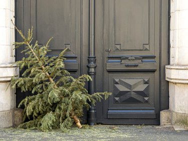 Christmas tree outside closed doors