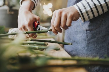 Florist in flower shop, cutting stem of flower, mid section, close-up