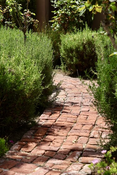 Curving garden brick path in morning sun