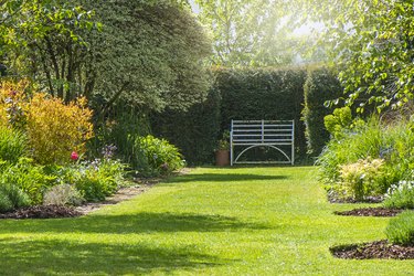 yard ideas for a huge lawn