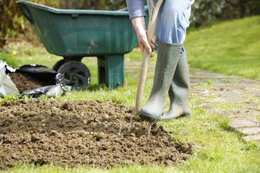 Gardener Forking A Patch In the Garden