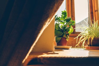 Warm atmosphere of window with warm sunlight and small plant pots