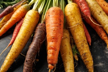 Freshly picked Rainbow carrots from kitchen garden.