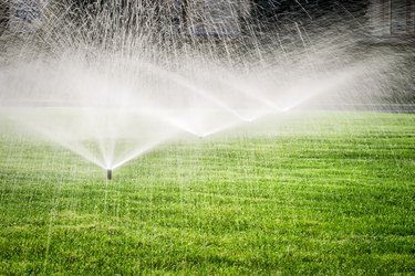 Garden sprinkler on the green grass field