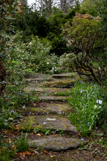 Stone step pathway