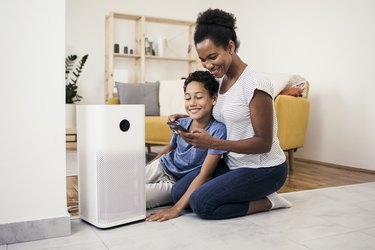 The Best Air Purifiers in 2022