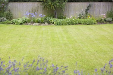 Large lawn with small flower beds