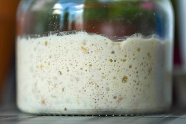 Close up of a glass jar of sourdough starter or Leaven