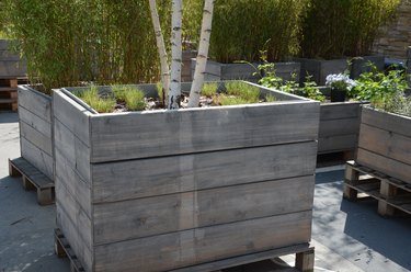 two gray flower pots at the park seating on the terrace with an artificial plastic carpet reminiscent of a lawn. in a pot there are holly and purple flowers. spa park near the restaurant