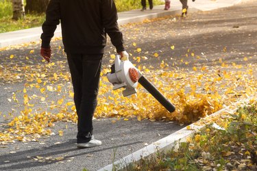 A man, a utility worker, removes leaves