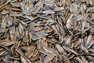 Sunflower seeds in nutshell in close up.