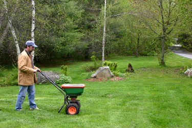 applying fertilizer