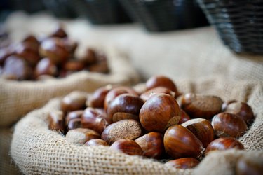 Top View Heap Of Chestnuts. Pile Of Ripe Chestnuts For Food Background