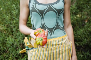 Cropped woman holding tomatoes