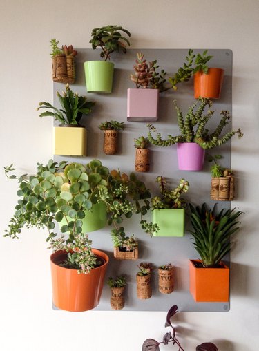 Plants In Pot Hanging From A Metal Panel