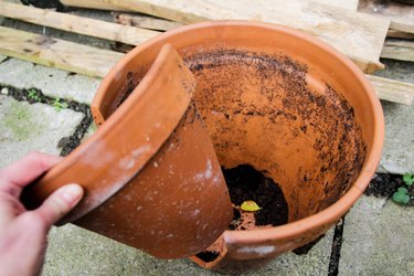 Broken plant pot