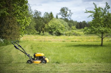 Lawn mower in garden