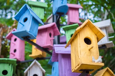 Bird Houses