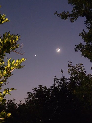 A beautiful moon in the evening sky