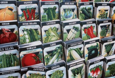 Seed Packets