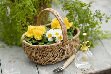 Gardening Goods