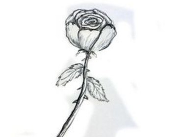 How to Draw a Rose Easily | eHow