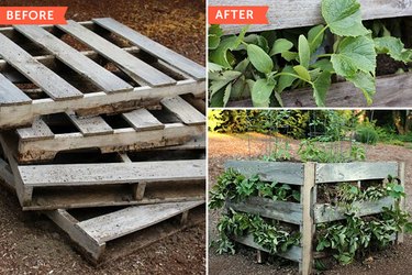 diy pallet garden projects