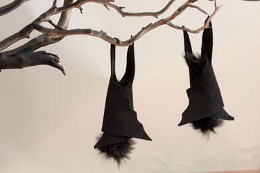 ... Bats hanging upside-down from branches