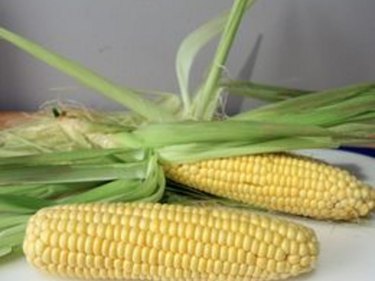 How to Cook Corn-on-the-Cob on the Stove | eHow