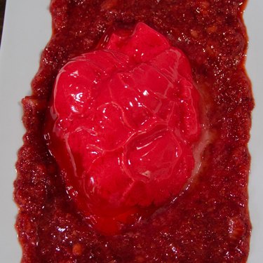 Anatomical Jello heart