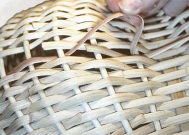 Basket/Handle Assembly