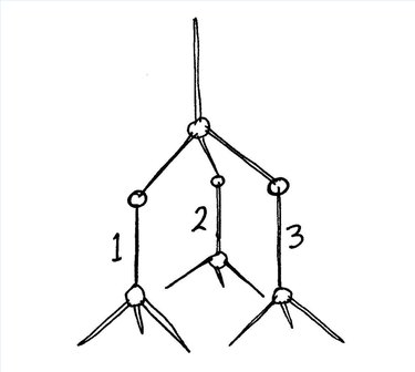 diamond structure model